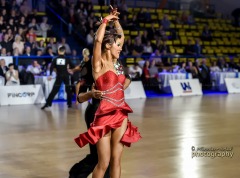 _DSC0294_image