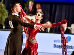_DSC0665_image