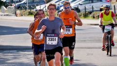 _1080445_picc