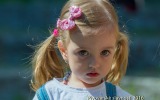 _DSC7954