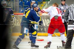 _DSC2684_slovan.frmis