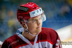 _DSC2710_slovan.frmis