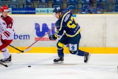 _DSC2733_slovan.frmis