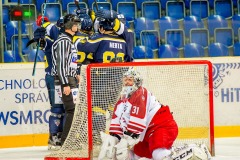 _DSC2748_slovan.frmis
