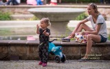 _DSC0005