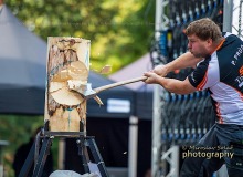 _DSC6606drevo