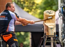 _DSC6843drevo