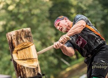 _DSC6960drevo