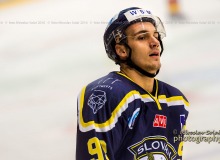 _DSC7380slov-cb-hokej