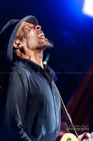 _DSC0128_L.LTaylor