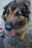 20220723-DSC09835