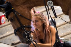 _DSC0585