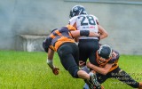 _DSC4419