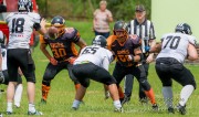 _DSC3811