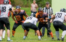_DSC3811