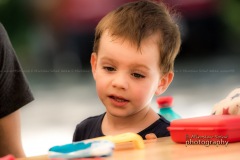 _DSC6883