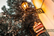 _DSC1464-Edit