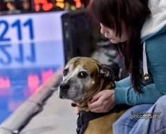 _DSC4460_alllstarsgame