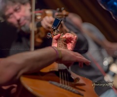 _DSC3807_fleret-nd