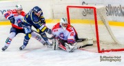_DSC0184_slovan.trebic