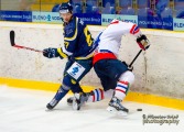 _DSC0207_slovan.trebic