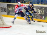 _DSC0232_slovan.trebic