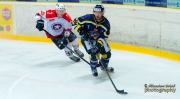 _DSC0248_slovan.trebic