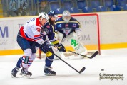 _DSC0317_slovan.trebic