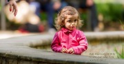 _DSC7311