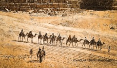 1_EGYPT2-000021