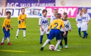 _DSC4314_picc