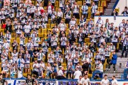 _DSC1884