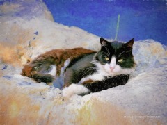 Solar-RHODOS-mixed-media-45