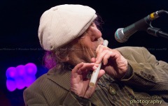 _DSC3029_xx.jazz.fest