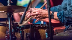 _DSC3080_xx.jazz.fest